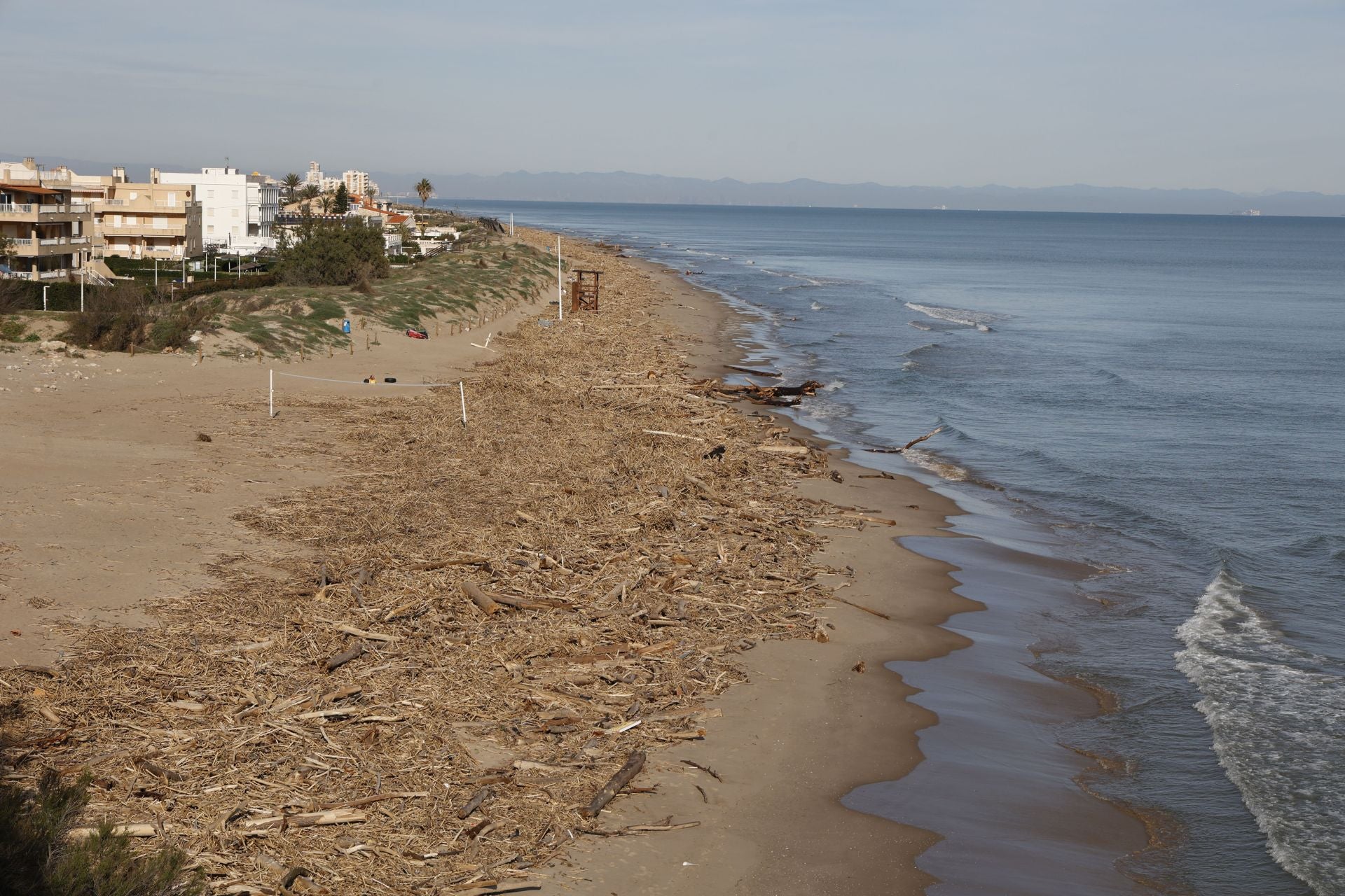 Cañas y troncos, varados en las playas del sur de Valencia