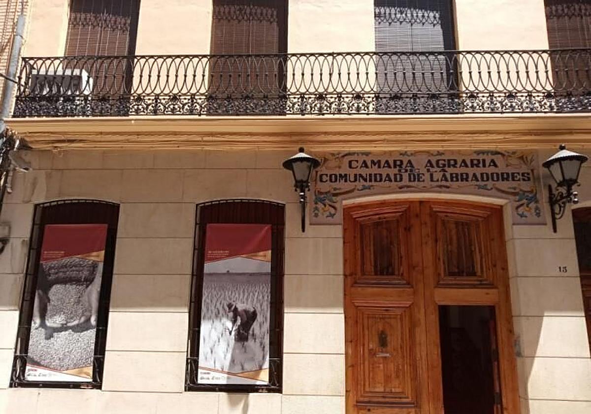 Consell Agrari de Sueca.