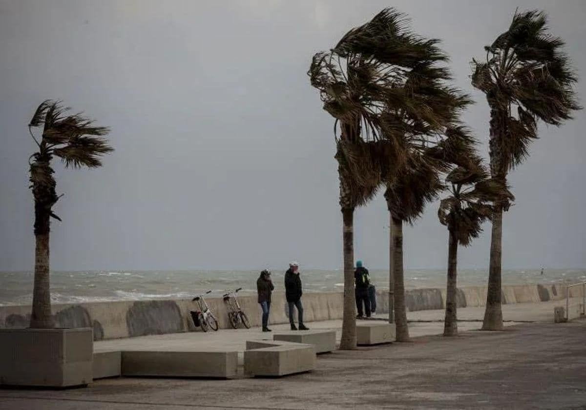 Fuertes rachas de viento en Valencia.