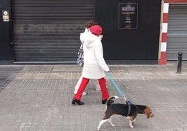 Una vecina pasea con su perro por el tramo de acera donde se encuentra el club clausurado.