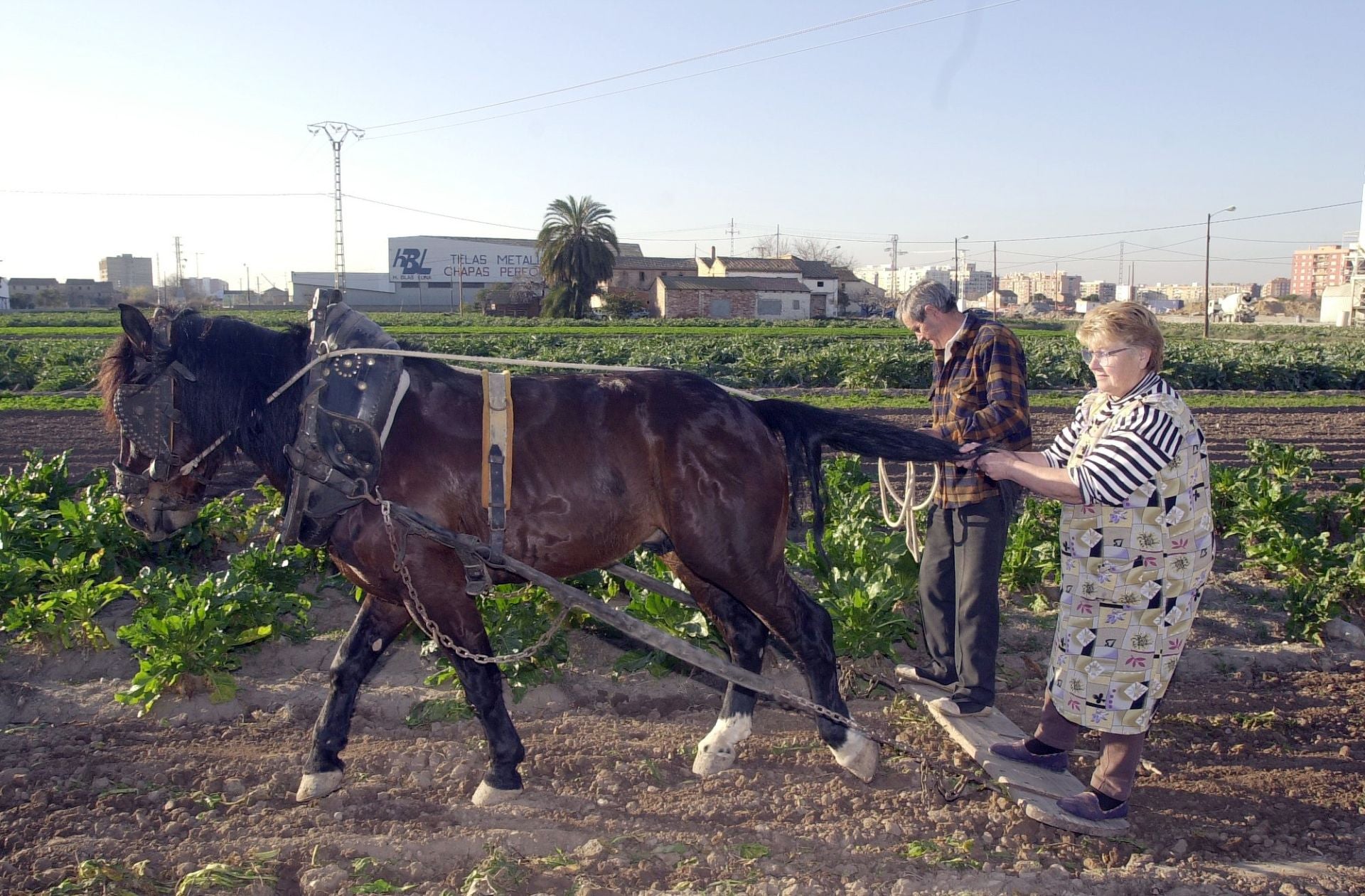 La huerta sobre la que se construyó la nueva Fe.