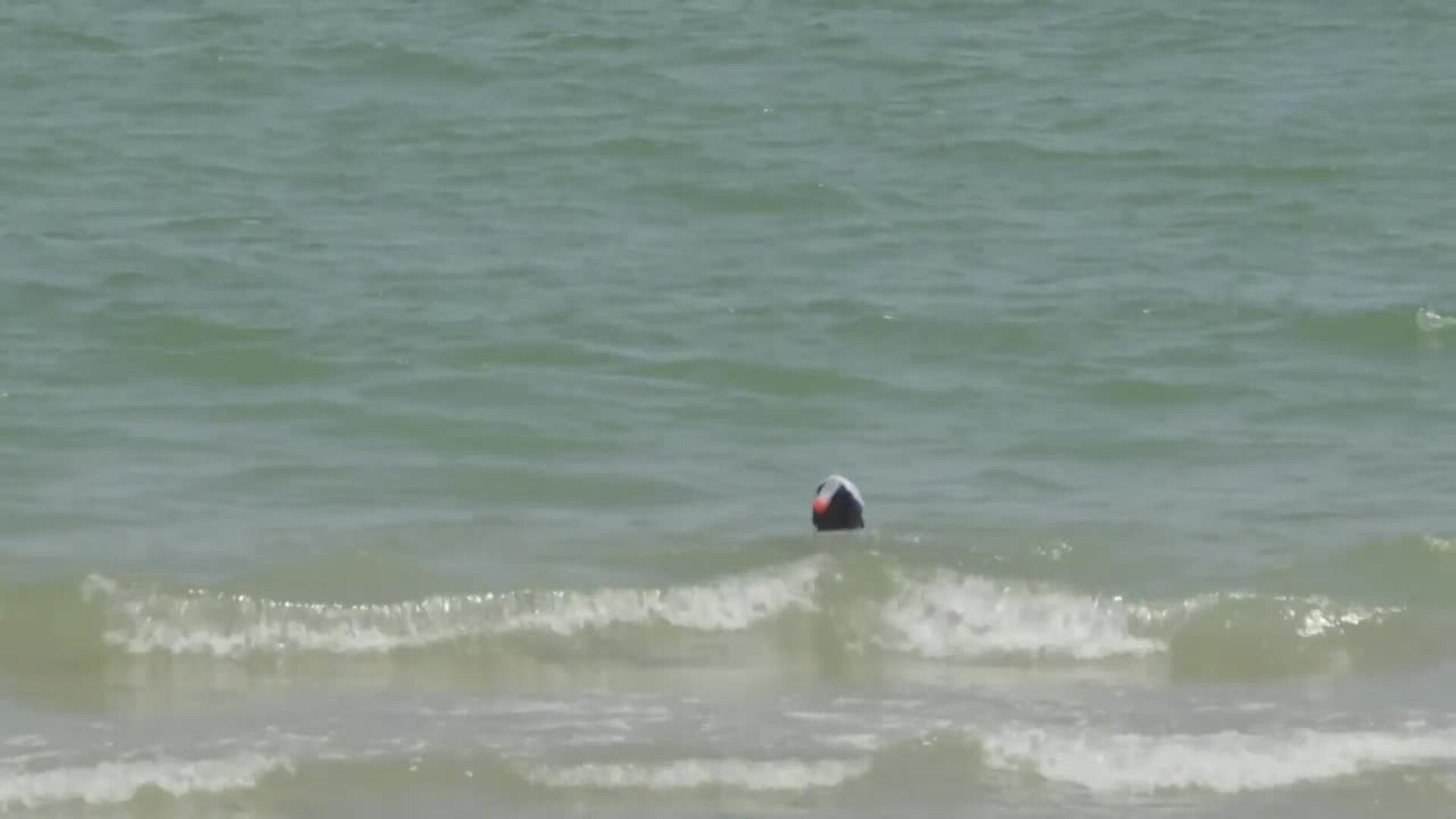 El agua verdosa de la Albufera es vertida a la playa de El Perellonet