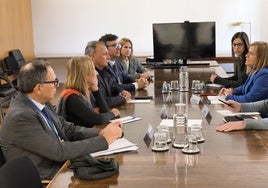 Reunión entre la delegada de Gobierno, los empresarios y el comisionado para la recuperación.