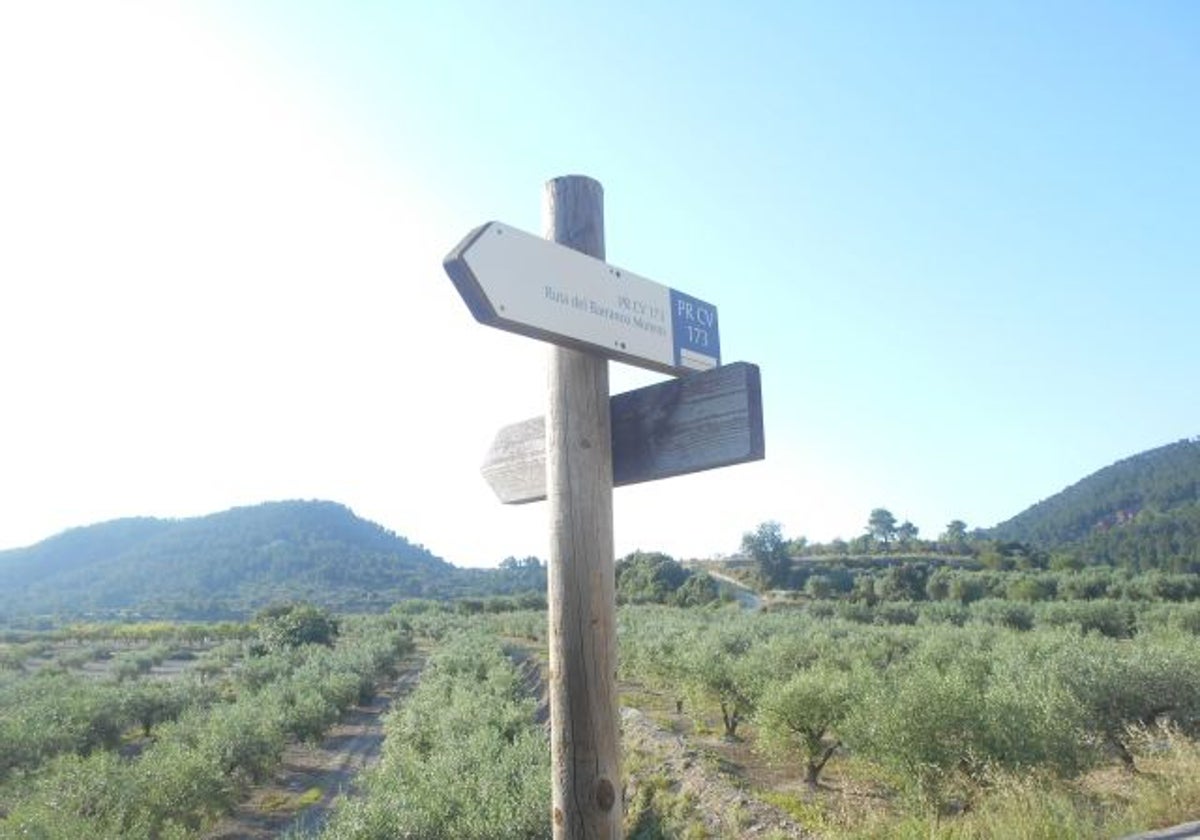 Señales del camino de uno de los mejores senderos de la Comunitat.