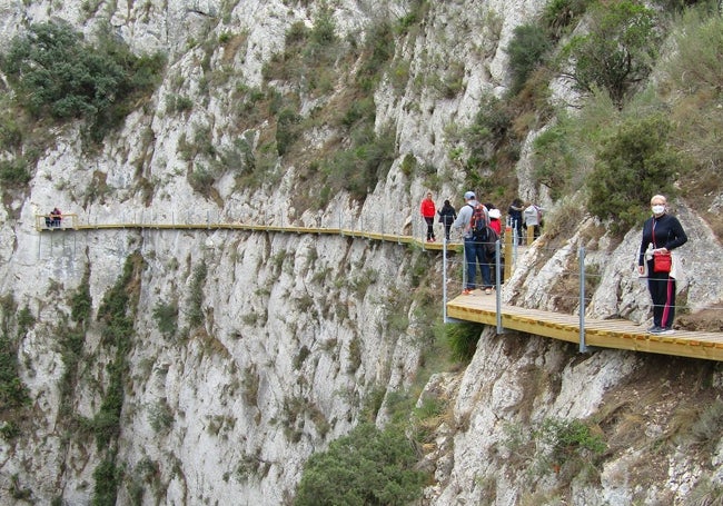 Visitantes por la pasarela.