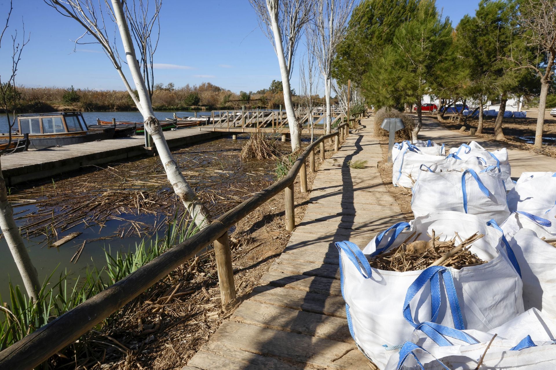 Trabajo contrarreloj para limpiar los miles de escombros de la dana que estrangulan la entrada de agua a la Albufera