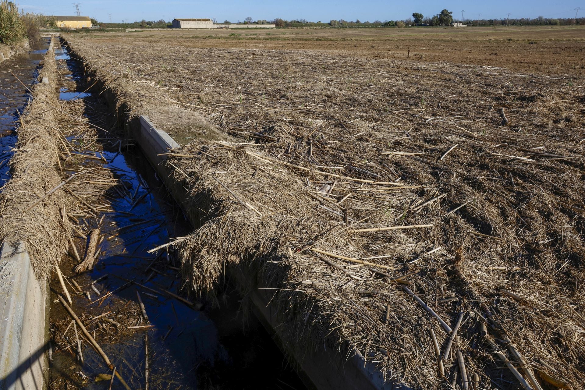 Trabajo contrarreloj para limpiar los miles de escombros de la dana que estrangulan la entrada de agua a la Albufera