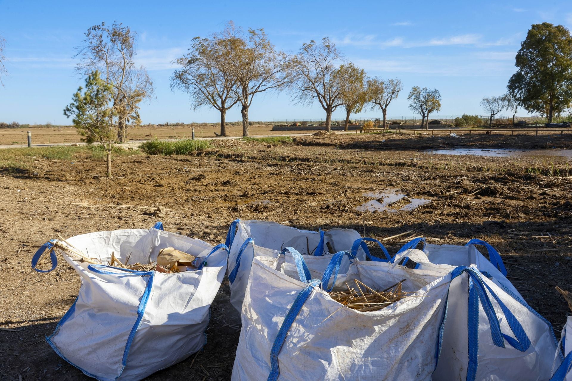 Trabajo contrarreloj para limpiar los miles de escombros de la dana que estrangulan la entrada de agua a la Albufera