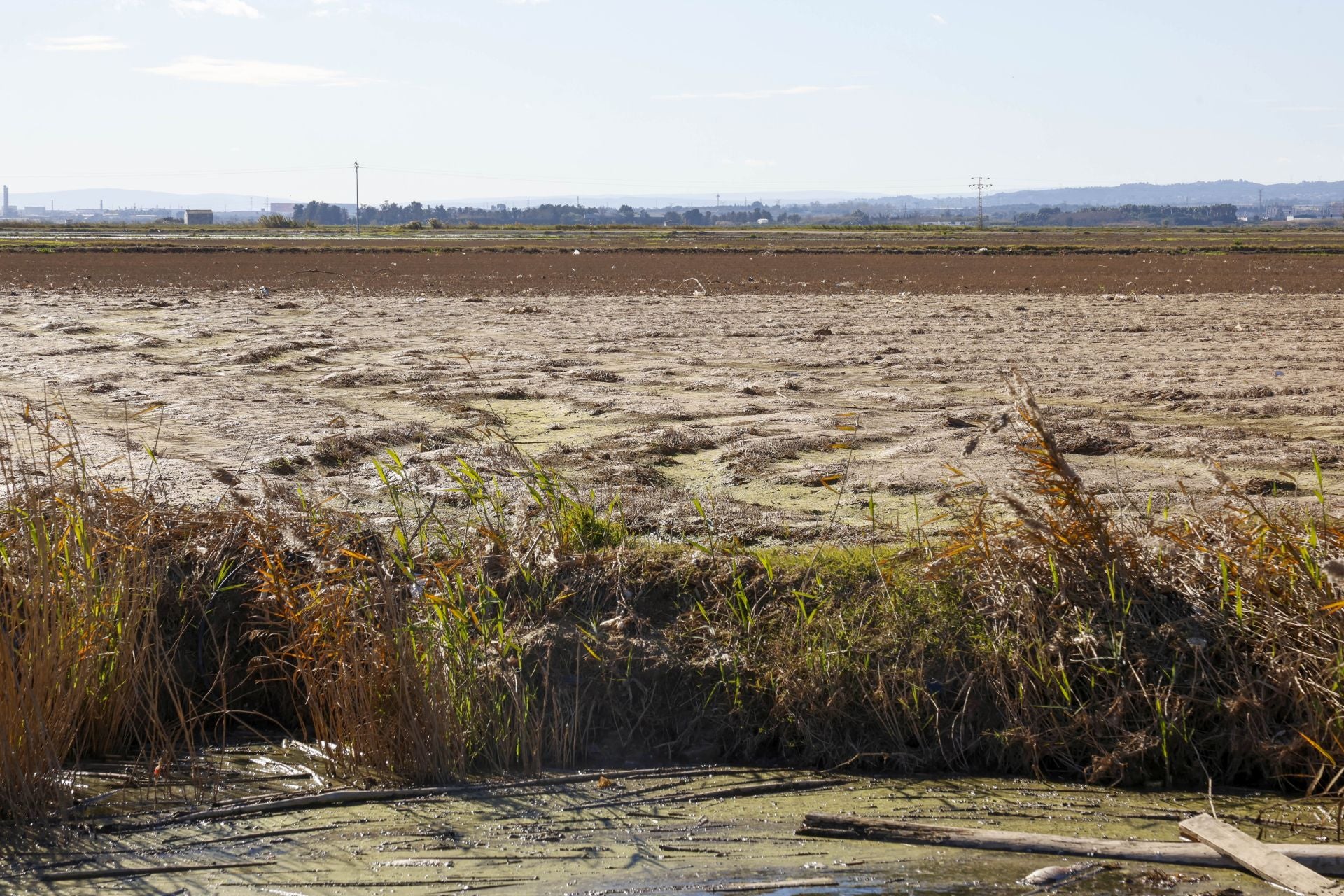 Trabajo contrarreloj para limpiar los miles de escombros de la dana que estrangulan la entrada de agua a la Albufera