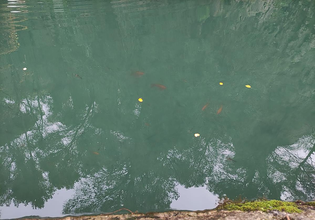 Balsa en el paraje de la Murta.