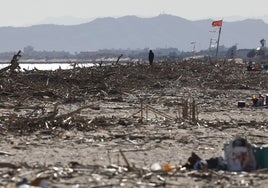 Estado actual de la playa del Saler.