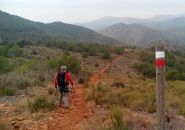 Bajada al Coll de la Calderona.