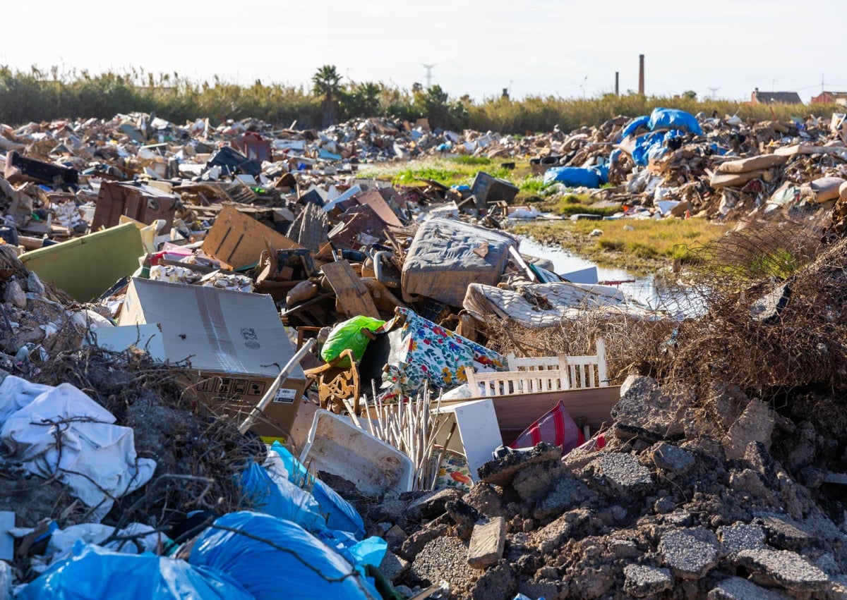 Imagen secundaria 1 - Basura acumulada en el solar de la carretera del Pi de Catsellar-l'Oliveral.