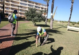 Momento en el que se marcó la línea del dominio público en Les Deveses en noviembre de 2023.