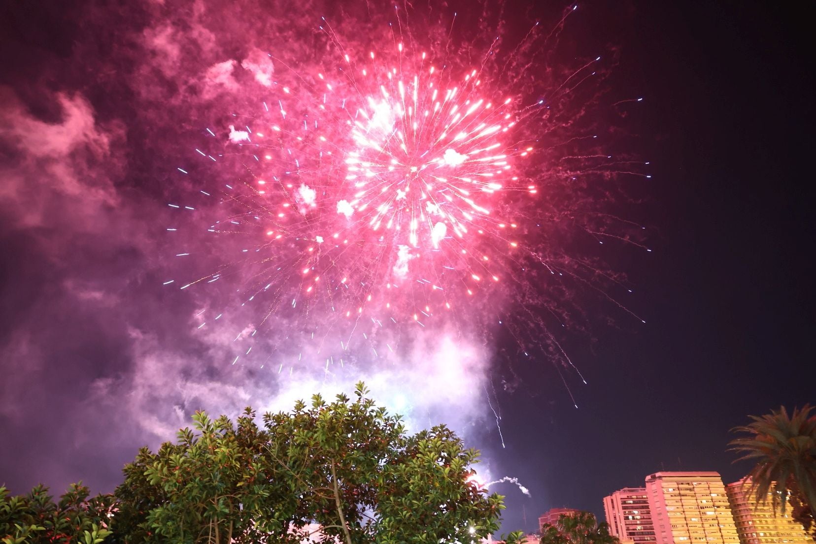 La Gala de la Pirotecnia de las Fallas 2025, en imágenes