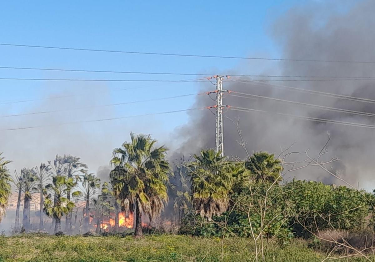 Imagen principal - Un incendio arrasa la caseta donde vivía una pareja en Valencia