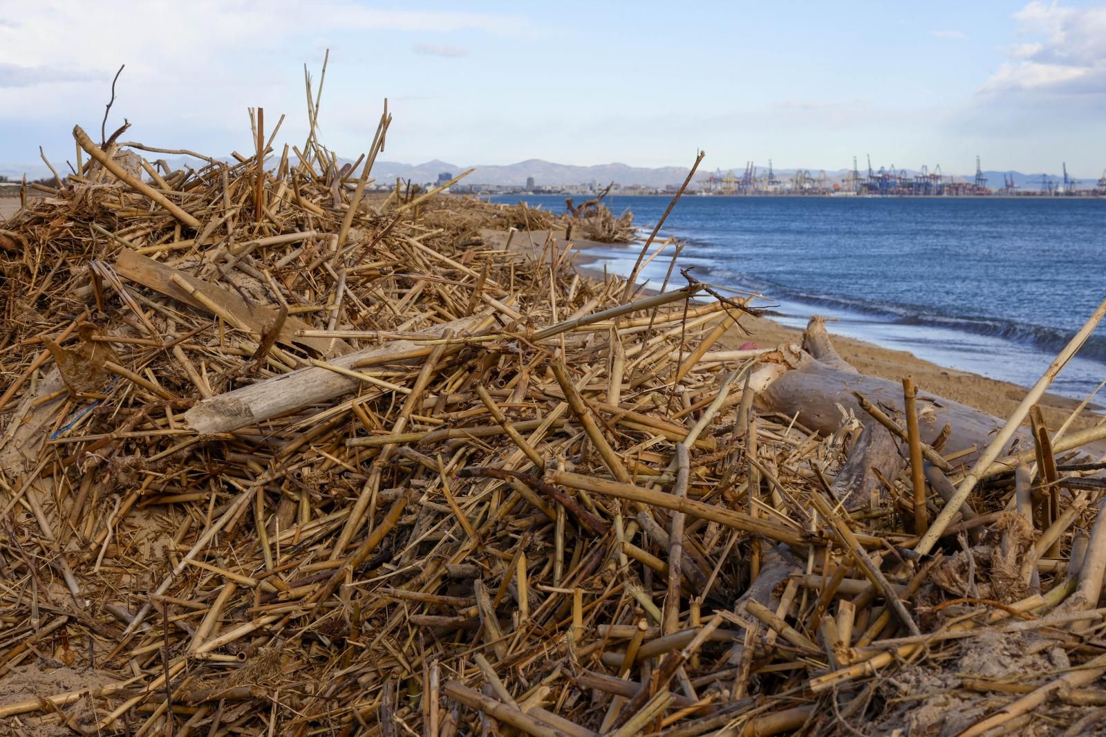 FOTOS | Cañas en las playas de Valencia tras la dana