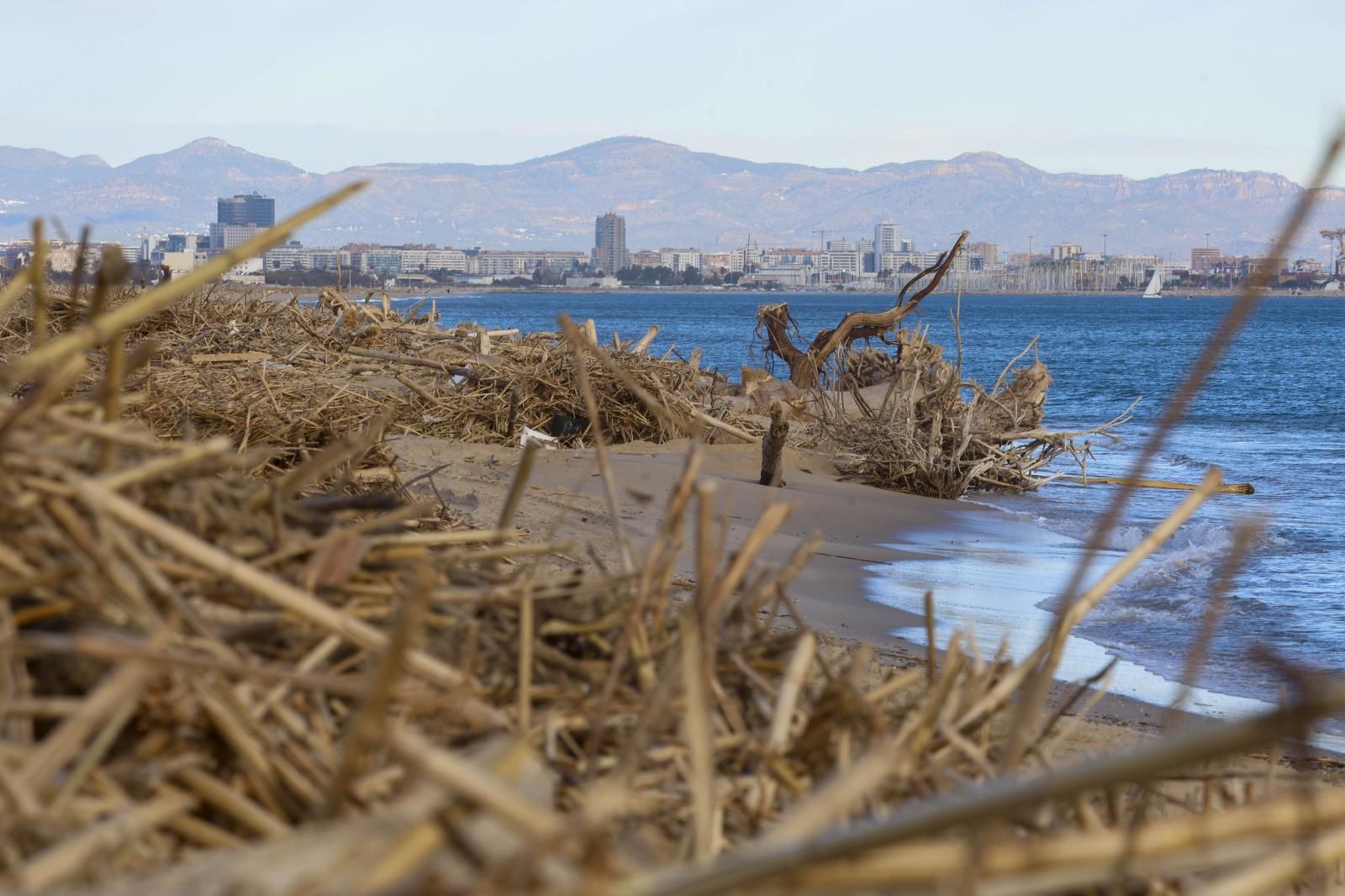 FOTOS | Cañas en las playas de Valencia tras la dana