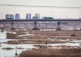 Nuevo cauce del río Turia.