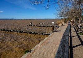 El embarcadero de la Albufera días después de la dana.