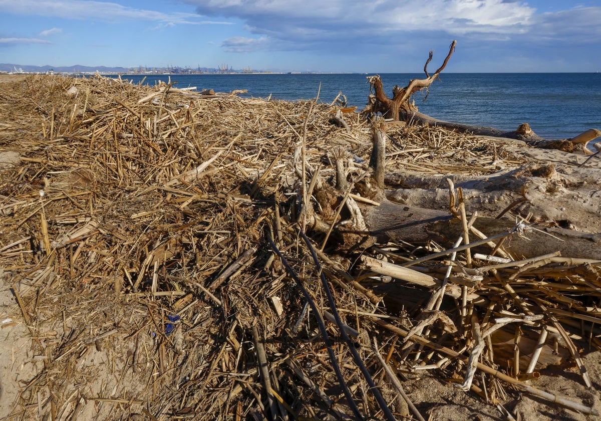 Estado de las playas de El Saler.