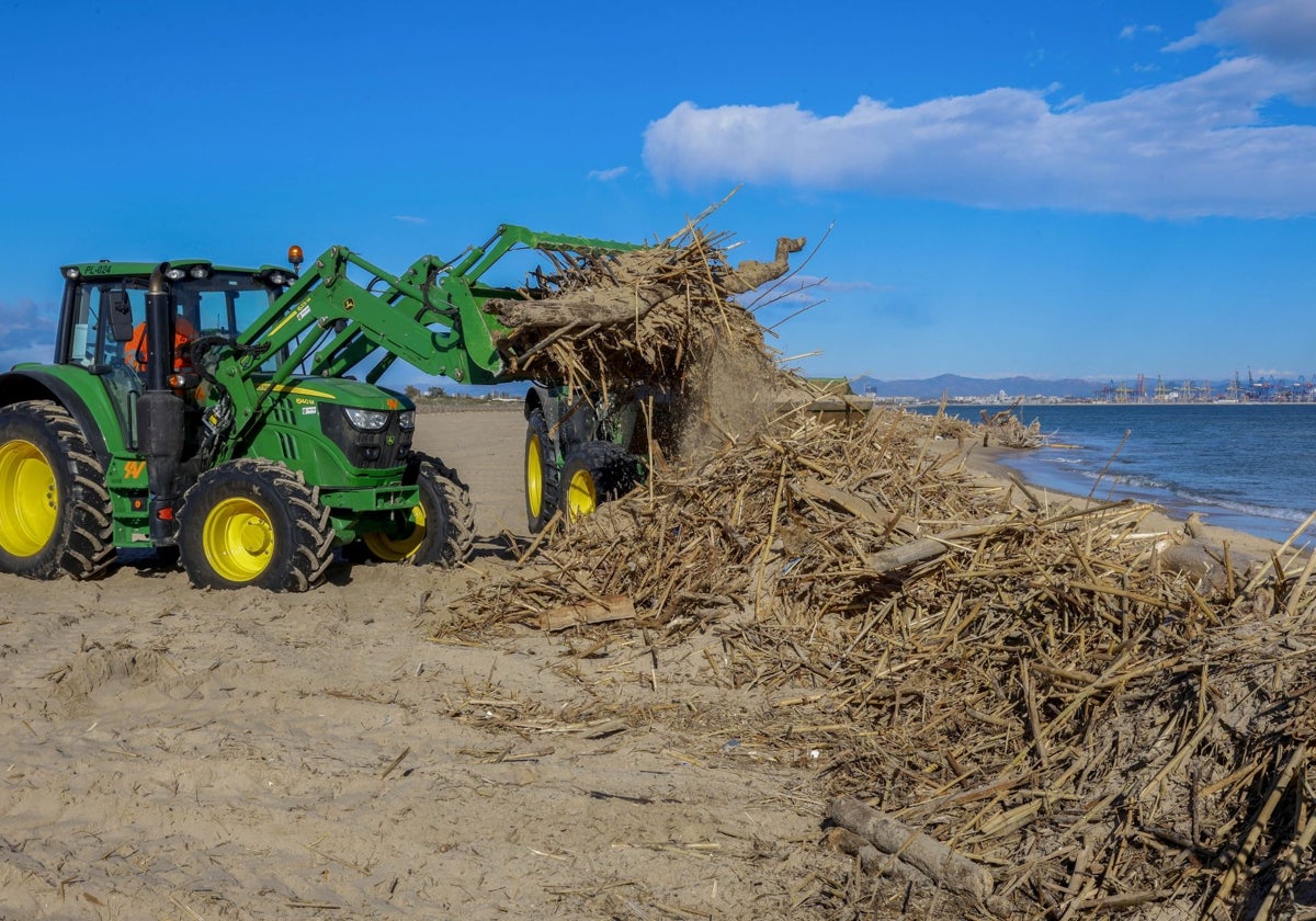 Un tractor durante las tareas de limpieza en la playa de El Saler.