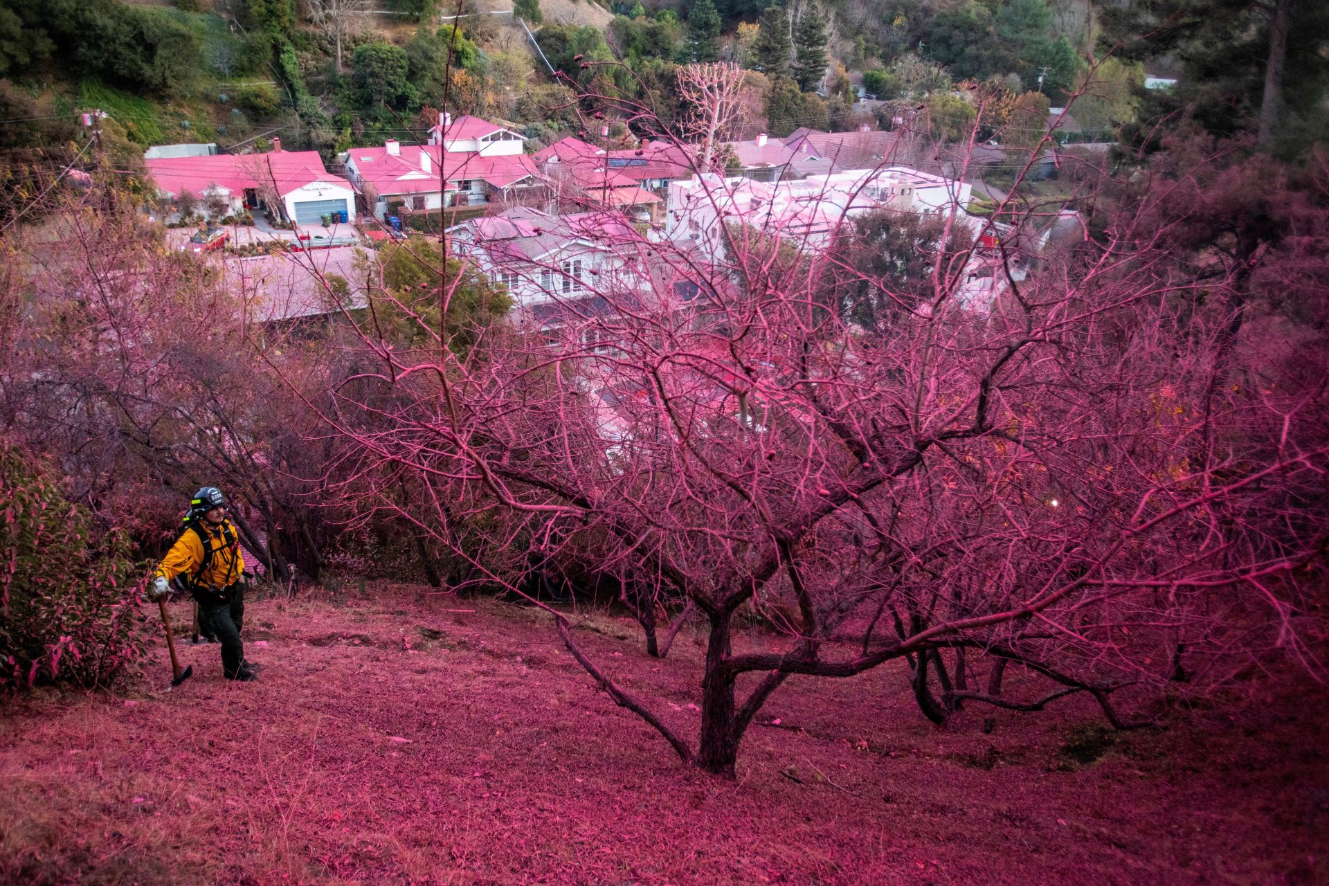 ¿Por qué Los Ángeles está cubierta de polvo rosa durante los incendios?