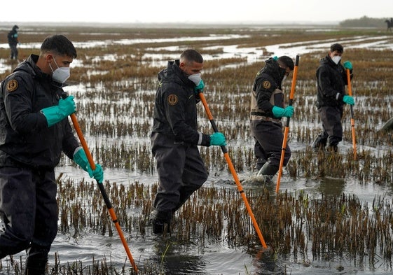 Militares peinan la Albufera en busca de desaparecidos tras la dana en una foto de archivo