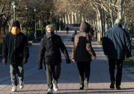 Varias personas pasean por un parque con mucho frío.