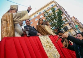 Bendición de animales por San Antonio Abad en la calle Sagunto de Valencia.