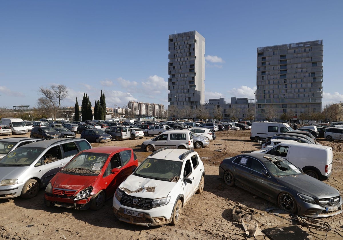 Coches afectados por la dana, en La Torre.