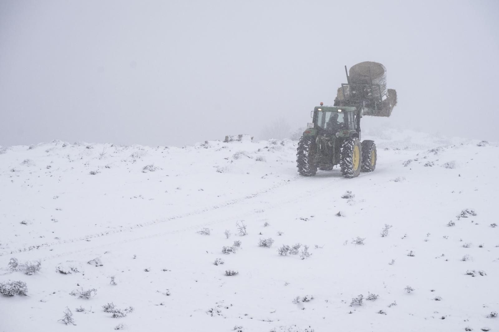 FOTOS | Nieve en Castellón