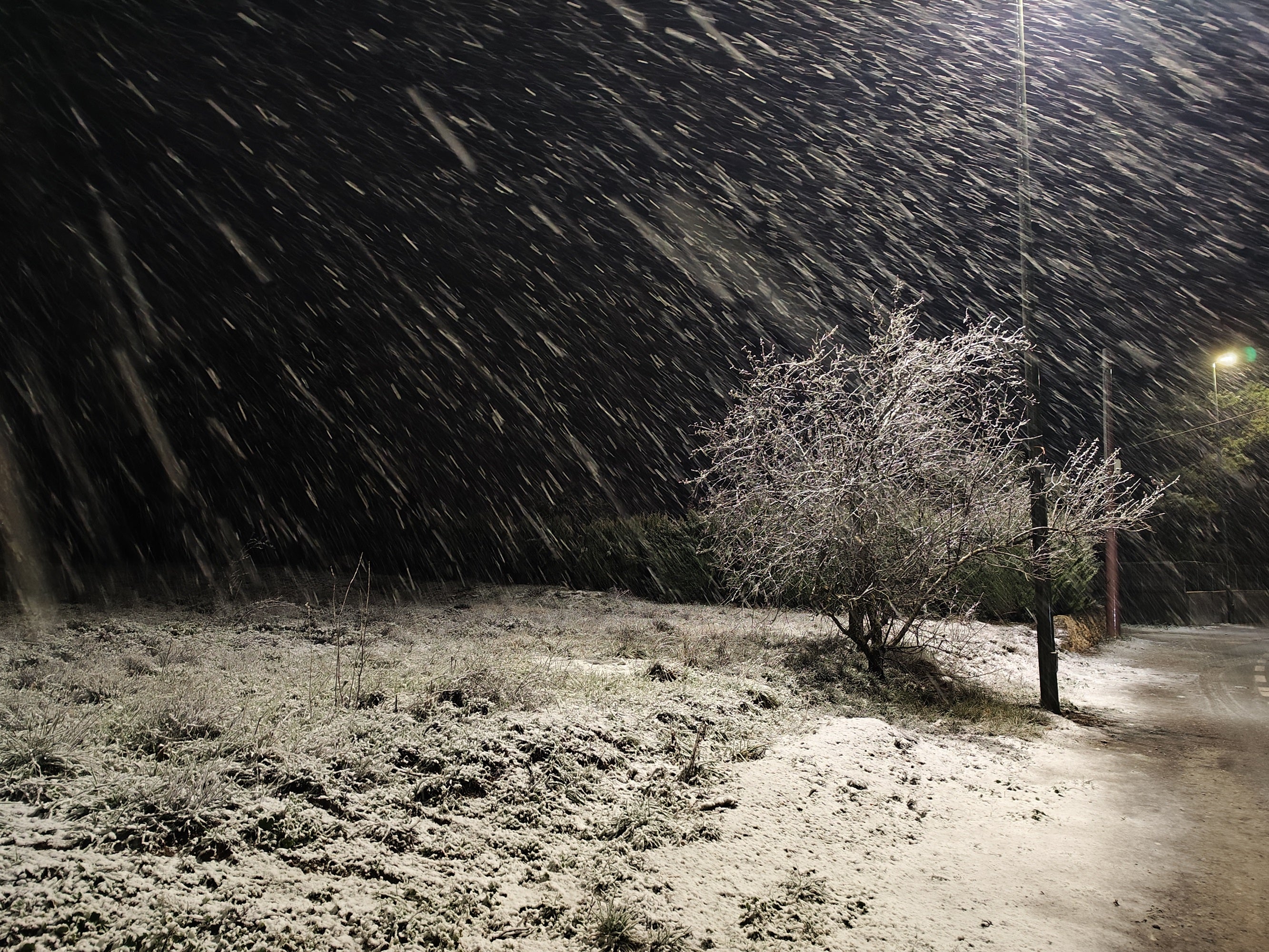 Nevada en Banyeres de Mariola en la noche del jueves al viernes.