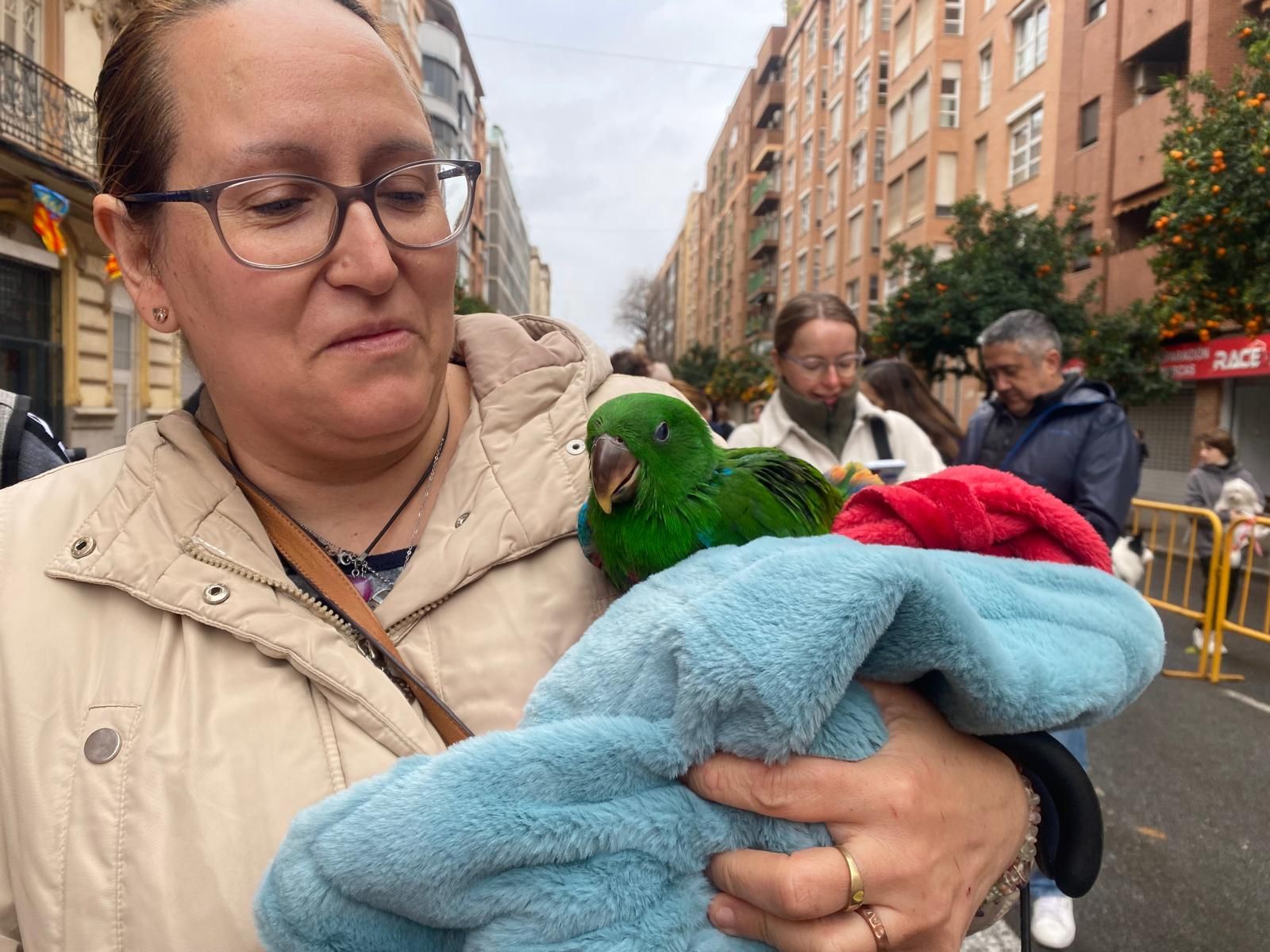 Las mascotas de Valencia, fieles a su cita con la bendición de Sant Antoni