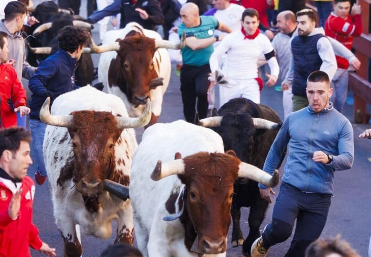 Encierro de San Sebastián de los Reyes de 2024.