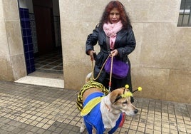 Las mascotas de Valencia, fieles a su cita con la bendición de Sant Antoni