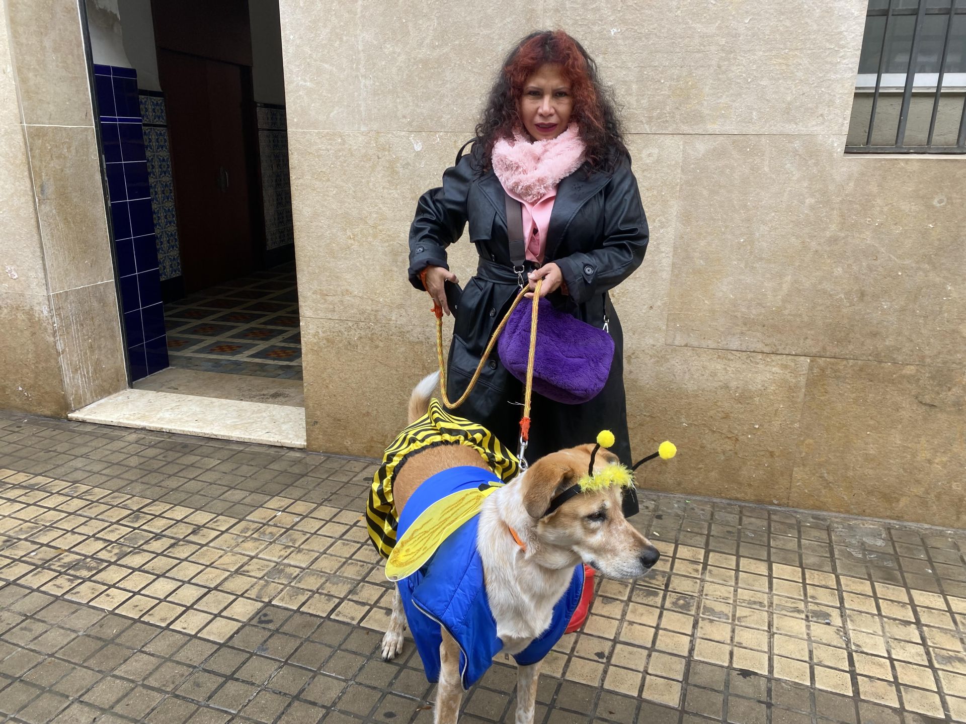 Las mascotas de Valencia, fieles a su cita con la bendición de Sant Antoni