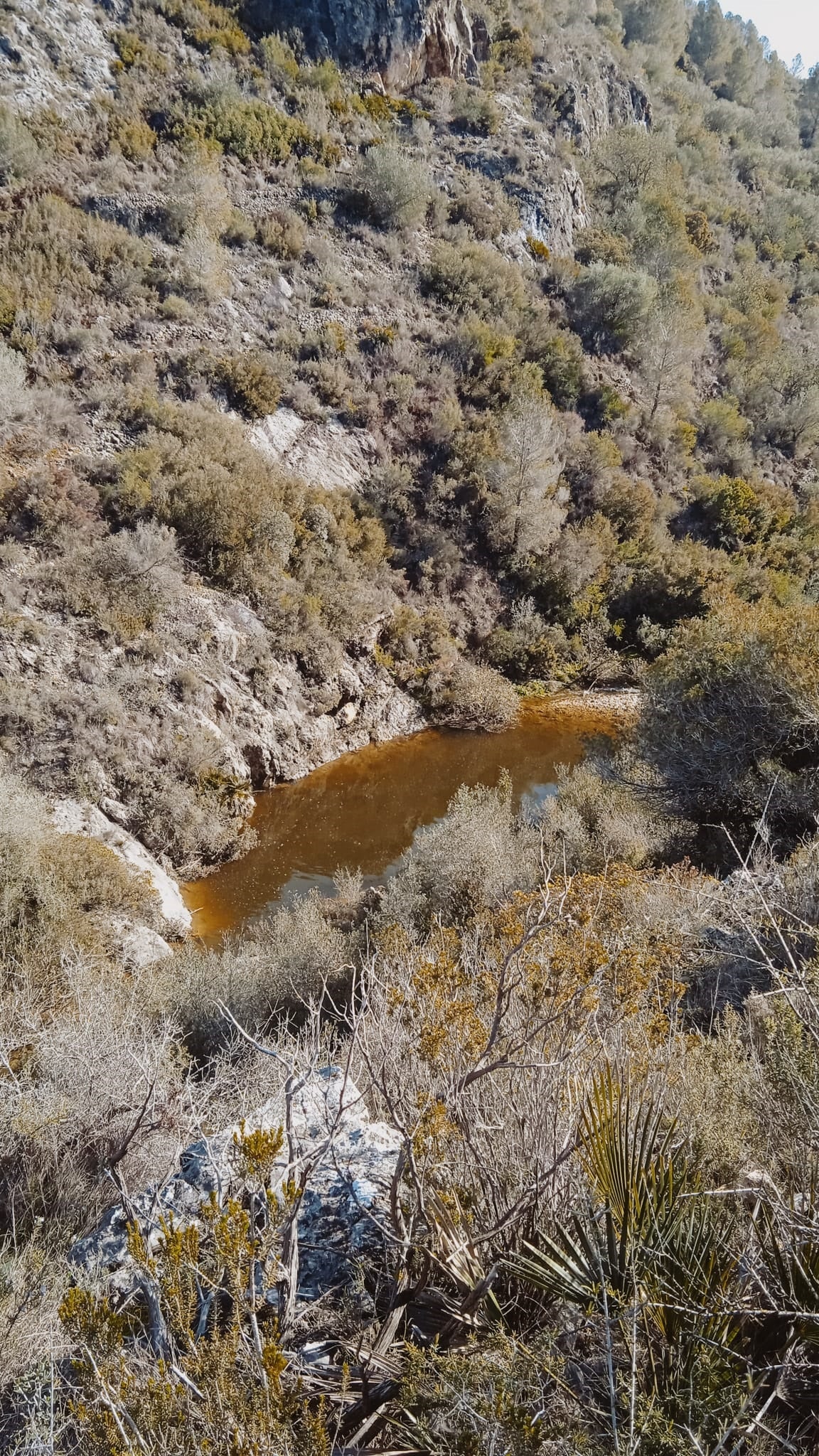 Estado que presenta el río tras las últimas lluvias.