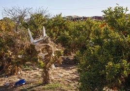 Campo de cultivo afectado por la dana en Paiporta.