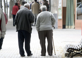 Una pareja de jubilados paseando.