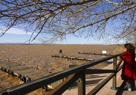 L'Albufera es uno de los rinconces turísticos de la zona sur de la ciudad.