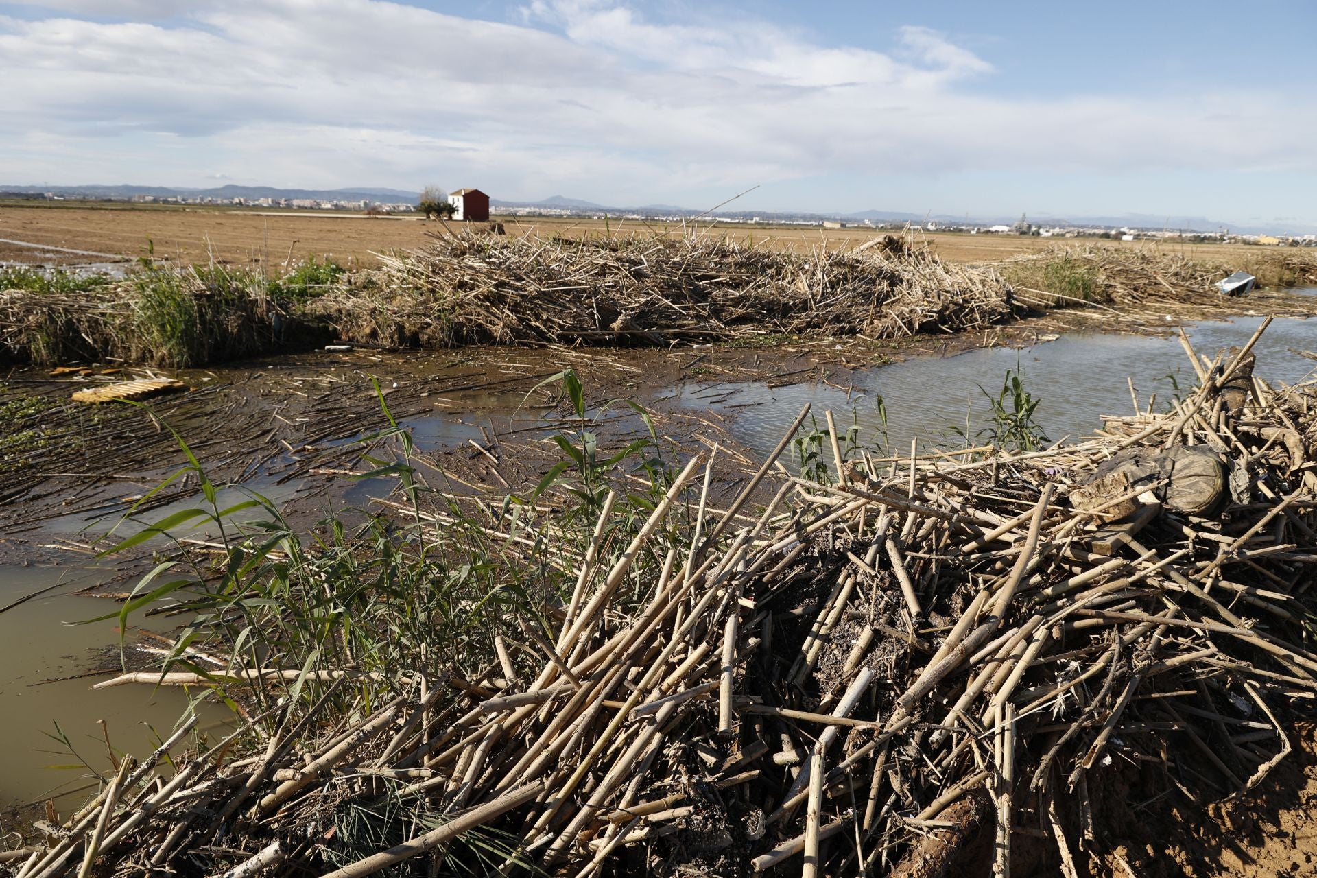 Estado del Puerto de Catarroja, parque natural de la Albufera, tras casi 3 meses del paso de la DANA