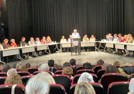 El alcalde Almenar, durante su intervención este jueves en el pleno.