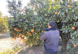 Más de 700 agricultores y ganaderos valencianos se quedan sin ayudas por la dana