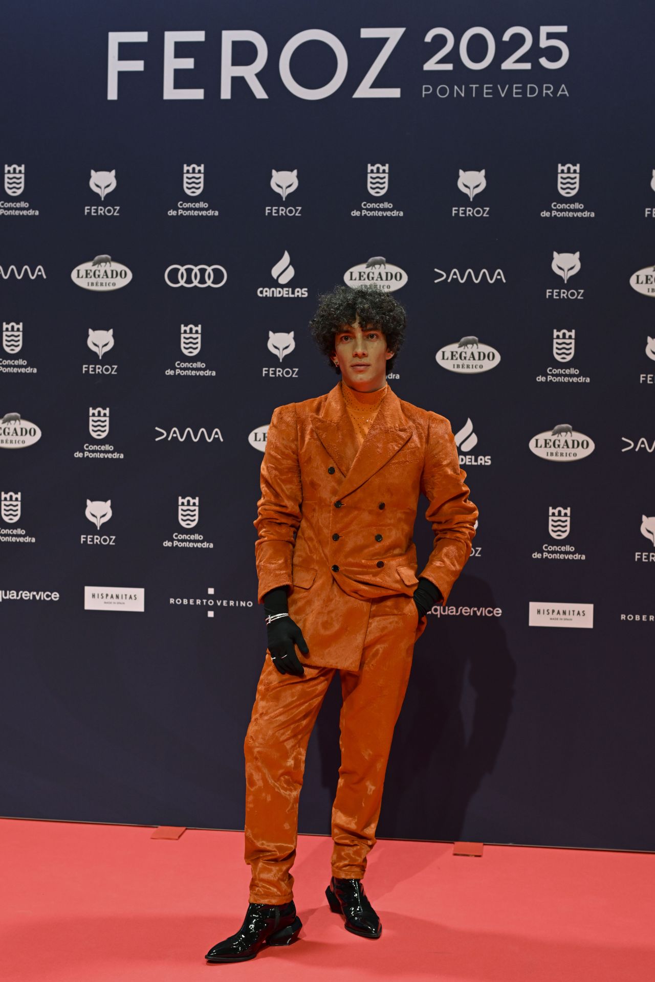 Los mejores looks de la alfombra roja de los Premios Feroz 2025