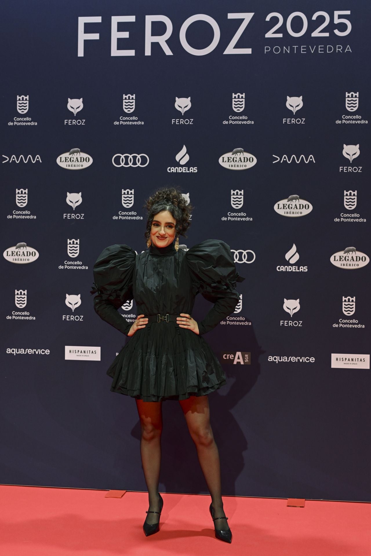 Los mejores looks de la alfombra roja de los Premios Feroz 2025