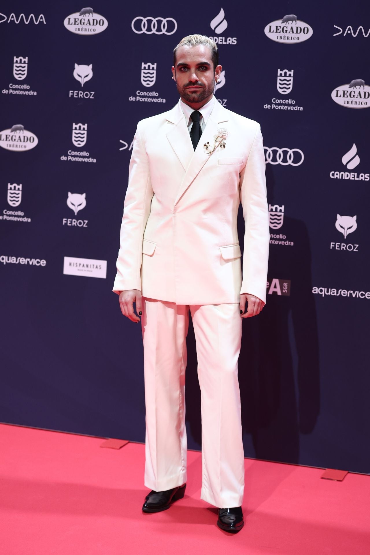 Los mejores looks de la alfombra roja de los Premios Feroz 2025