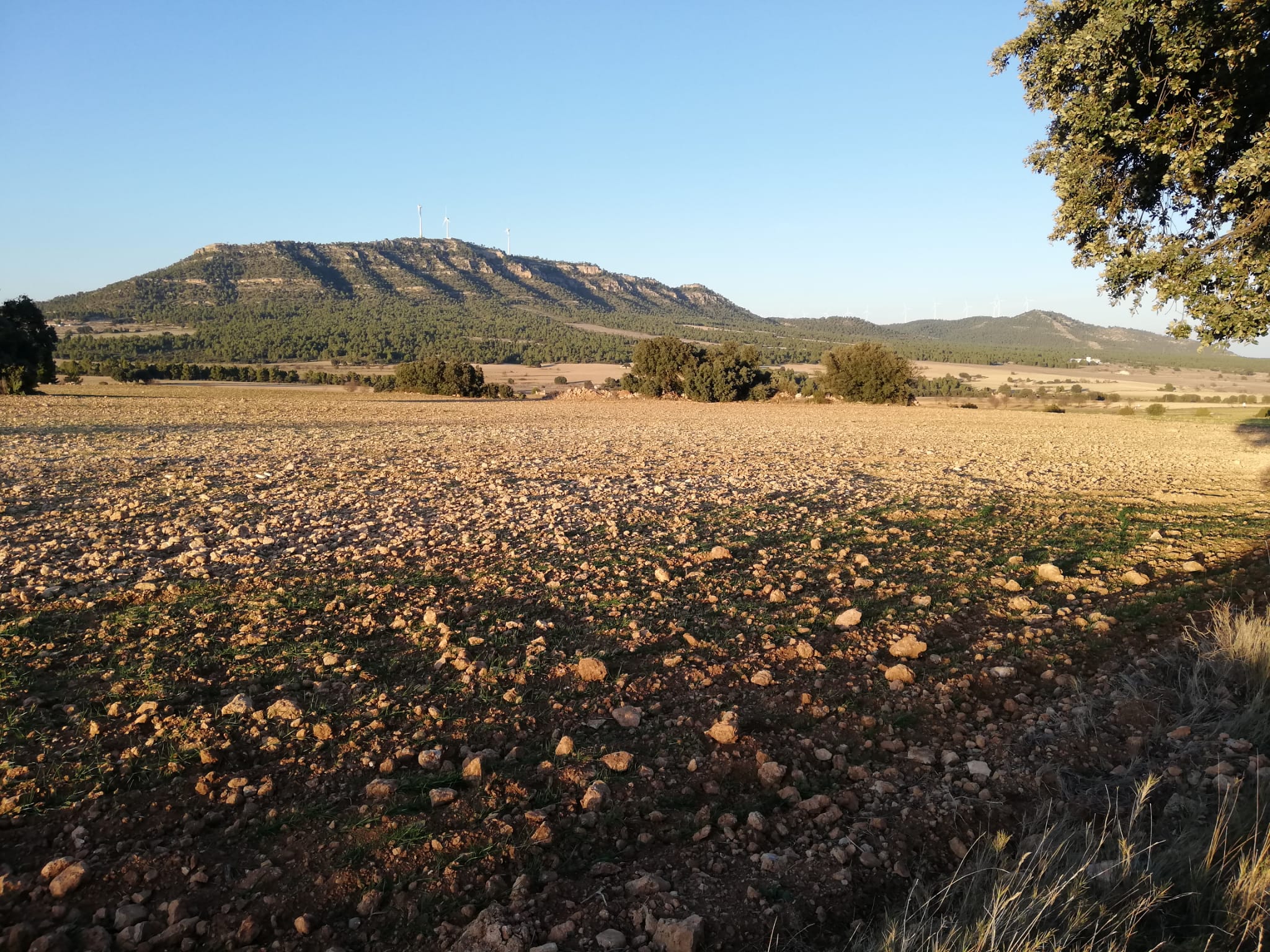 Cañada de Jarafuel donde ya hay ubicada una planta de energía eólica.