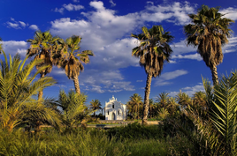 Alboraya lleva sus experiencias turísticas y tradición horchatera a FITUR 2025