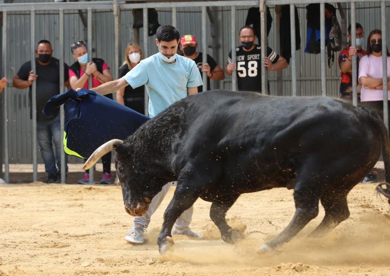 Un festejo de bous al carrer.